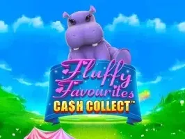 Fluffy Favorites เงินสดรับ